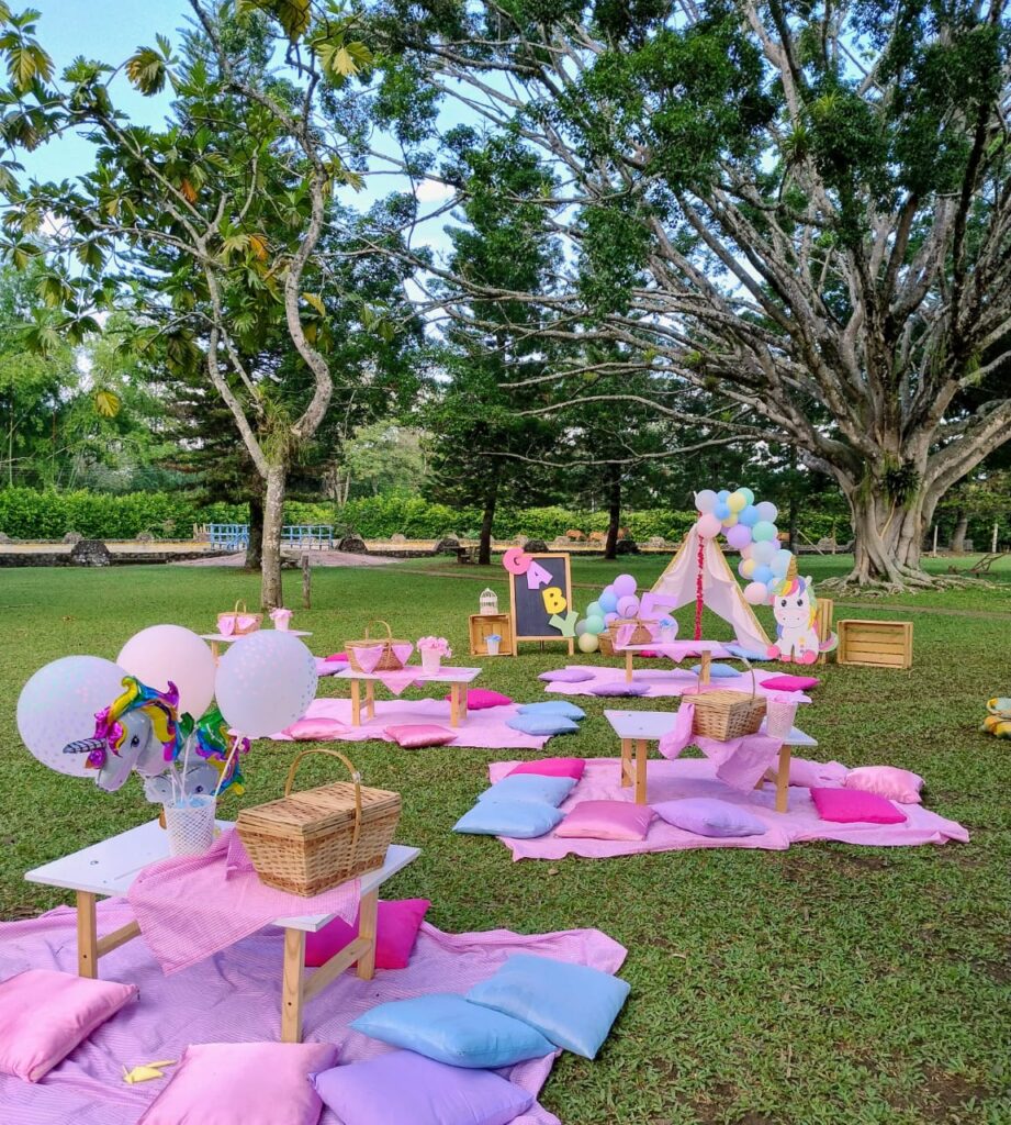 celebración picnic campestre con temática de pony en 4 colores pastel