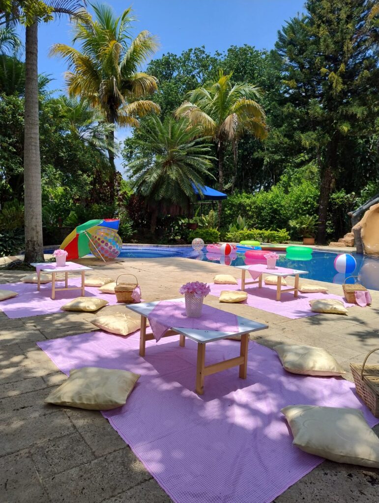 Picnic rosado estilo moderno para una fiesta en un  lugar privado