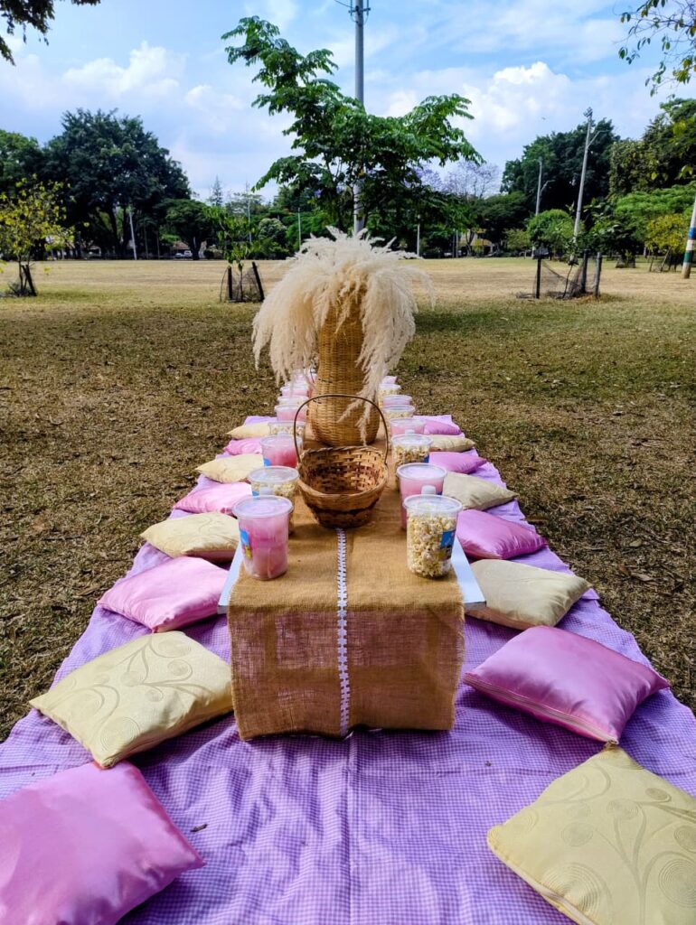 Picnic con mesas centralizadas, tarrinas de algodones de azúcar y crispetas y en combinación de dos colores