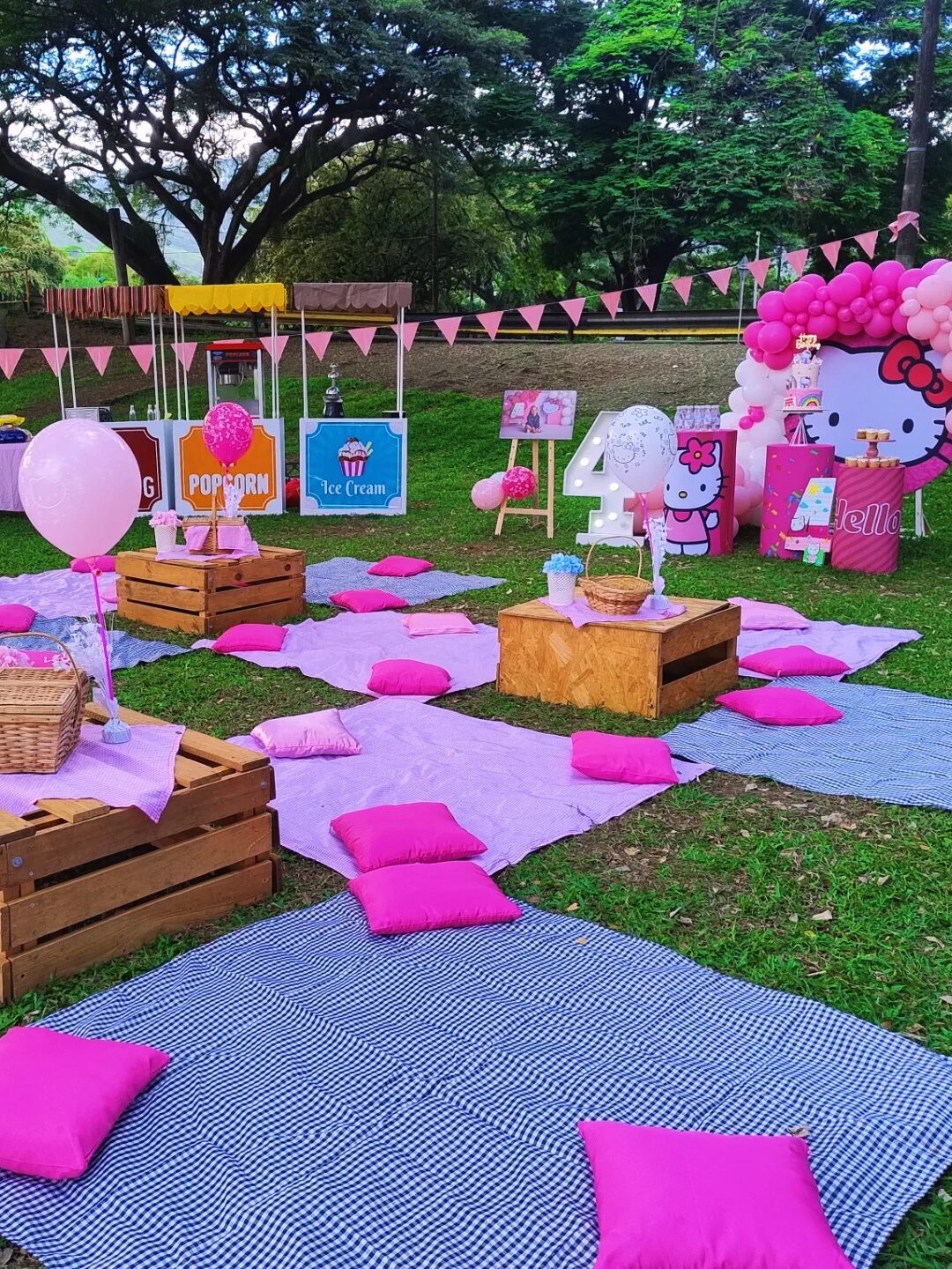 Picnic de lujo